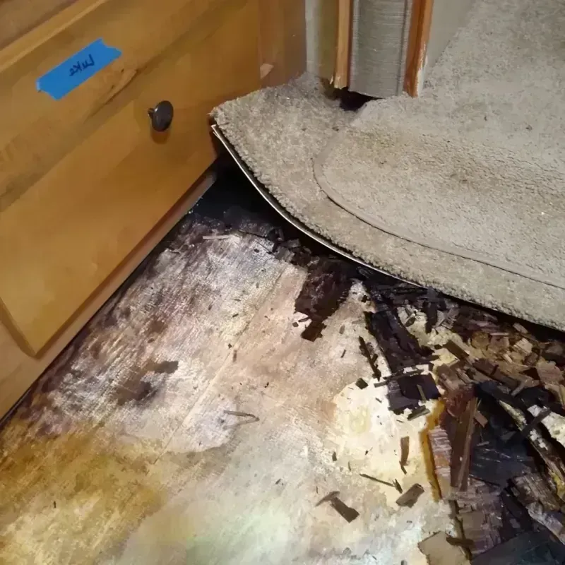 Wood Floor Water Damage in Denton, MD